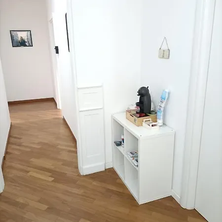 Dante 138 Class & 바리